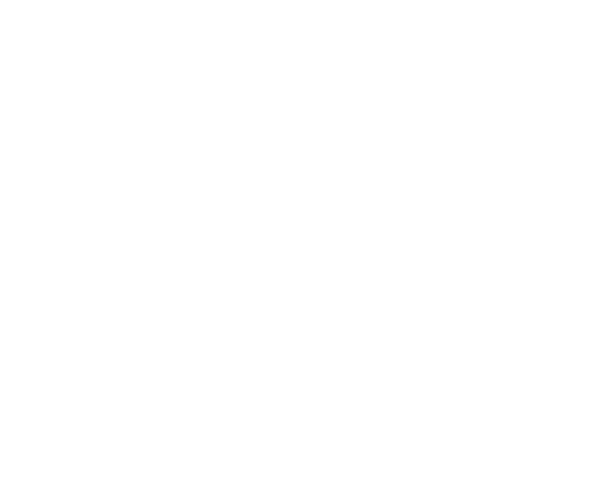 BM Textiles white Logo