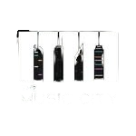 the_musiccity_official