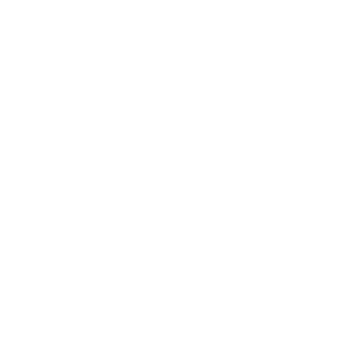 Logo White
