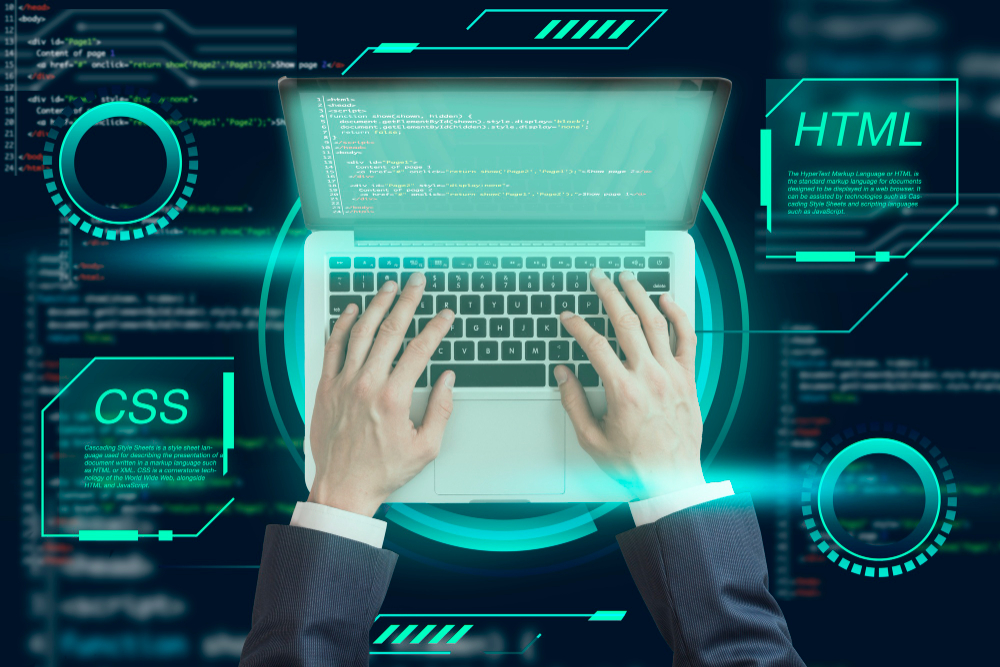 Professional Web Development Services to Grow Your Business